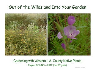 Out of the Wilds and Into Your Garden

Gardening with Western L.A. County Native Plants
Project SOUND – 2012 (our 8th year)
© Project SOUND

 