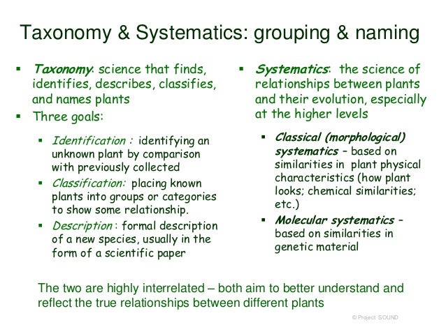 difference between taxonomy and taxon