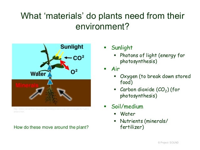 contain 3 that carbon stored materials 2014 gardeners for Botany contain 3 that carbon stored materials 2014 gardeners for Botany