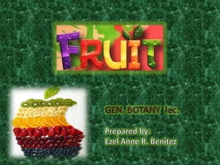 Botany fruits