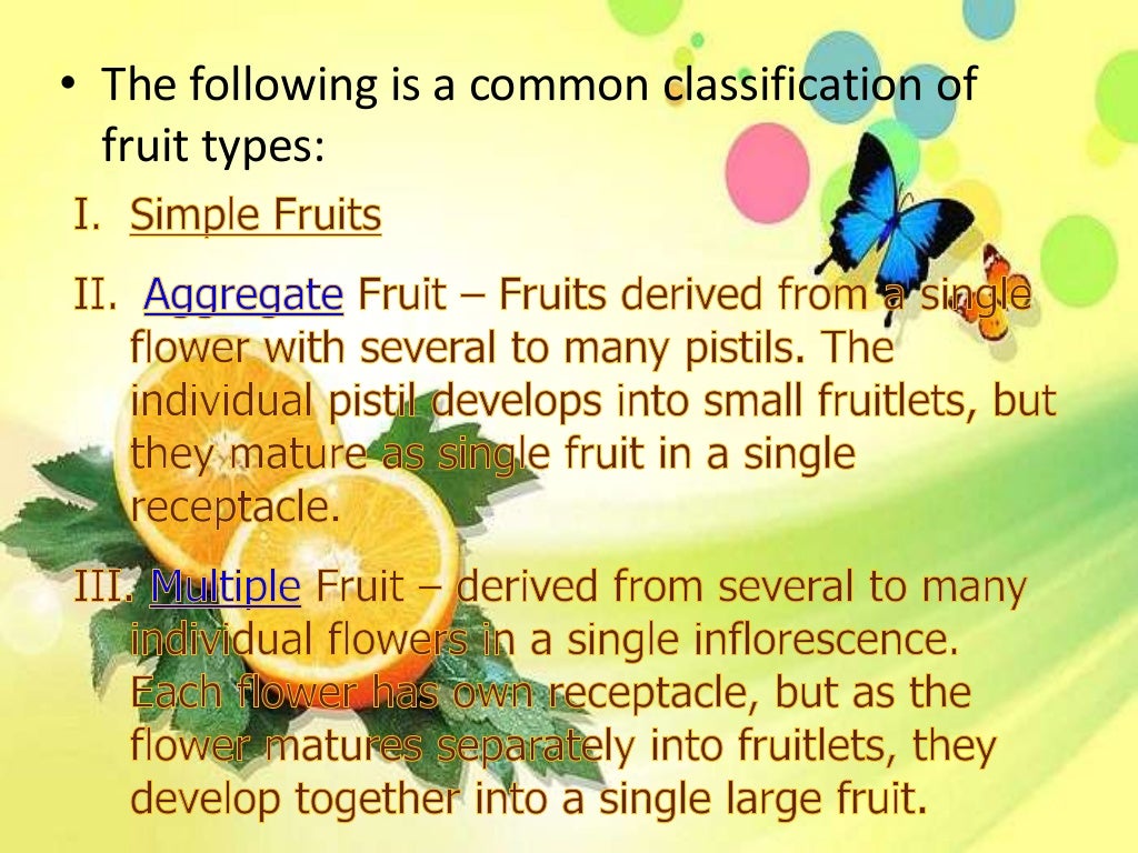 Botany fruits
