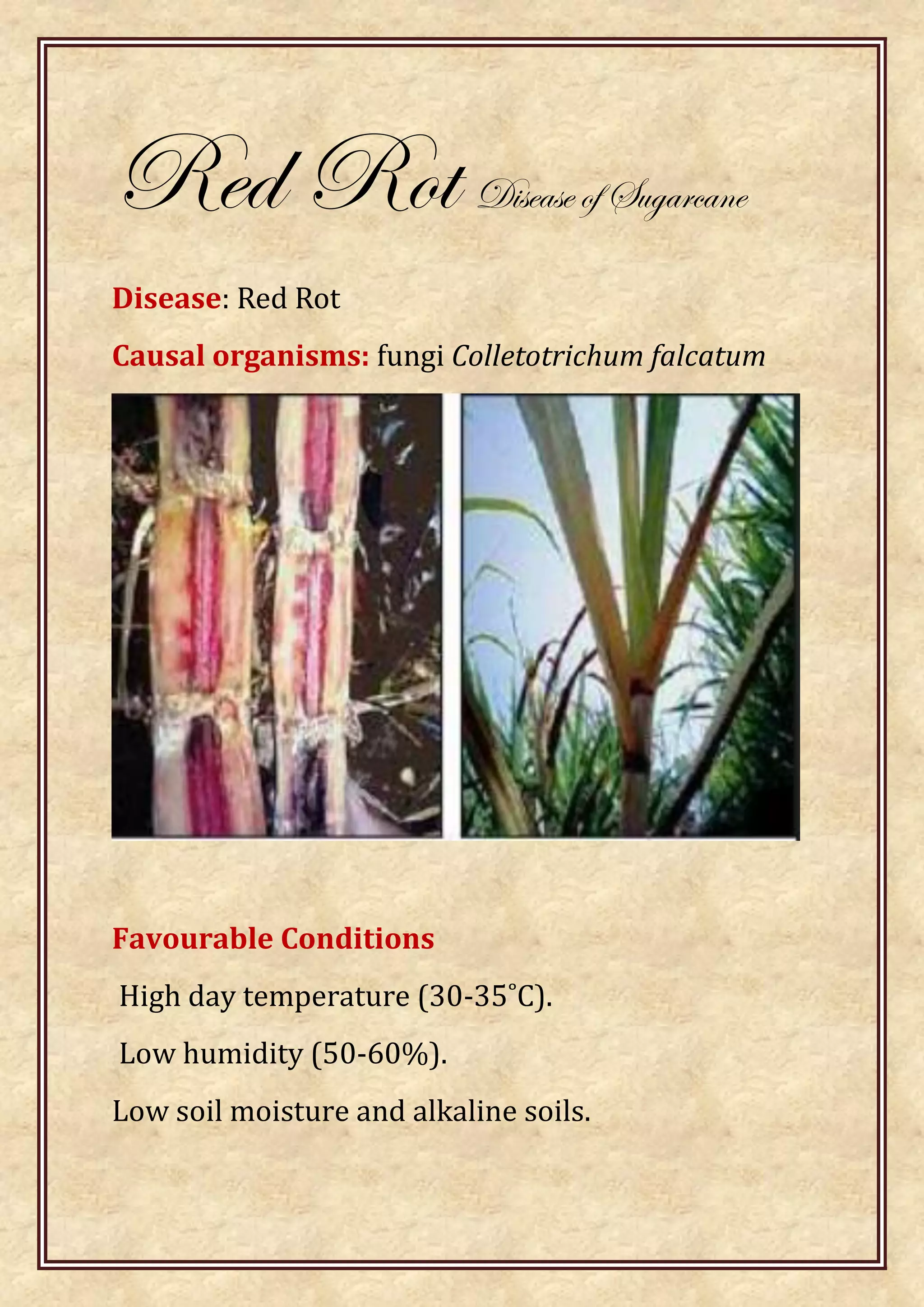 Casual organisms: symptoms, life cycles and control of plant diseases | PDF
