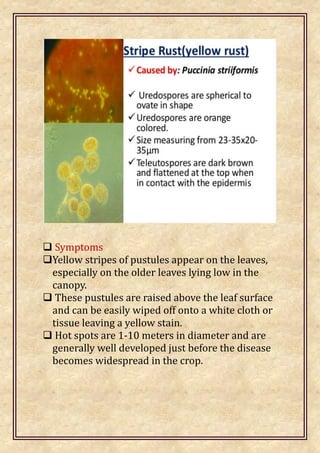 Casual organisms: symptoms, life cycles and control of plant diseases | PDF