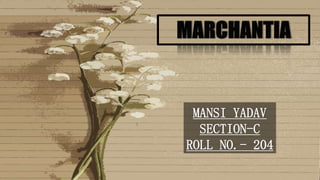 MANSI YADAV
SECTION-C
ROLL NO.- 204
 
