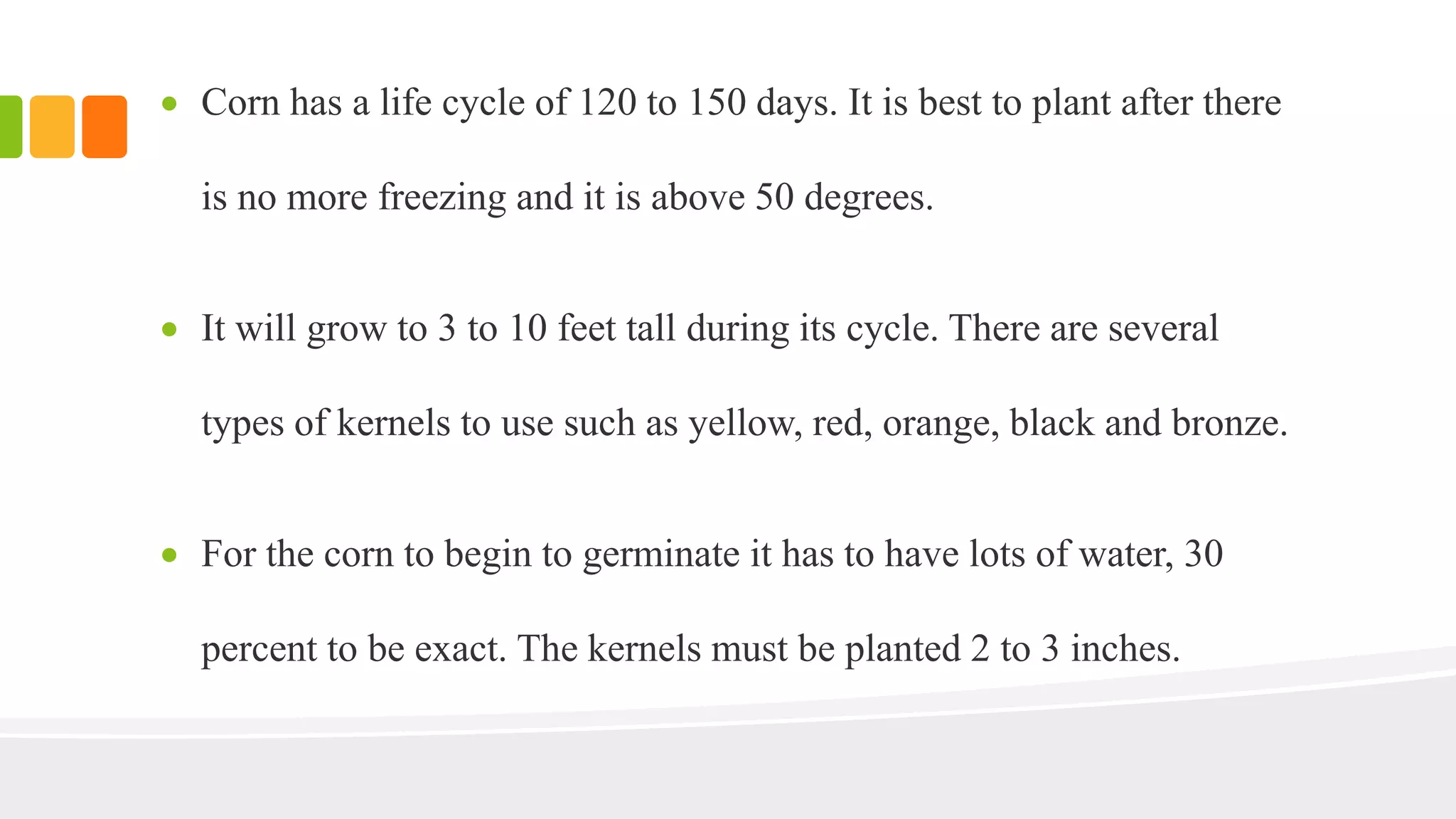  Corn has a life cycle of 120 to 150 days. It is best to plant after there 
is no more freezing and it is above 50 degrees. 
 It will grow to 3 to 10 feet tall during its cycle. There are several 
types of kernels to use such as yellow, red, orange, black and bronze. 
 For the corn to begin to germinate it has to have lots of water, 30 
percent to be exact. The kernels must be planted 2 to 3 inches. 
