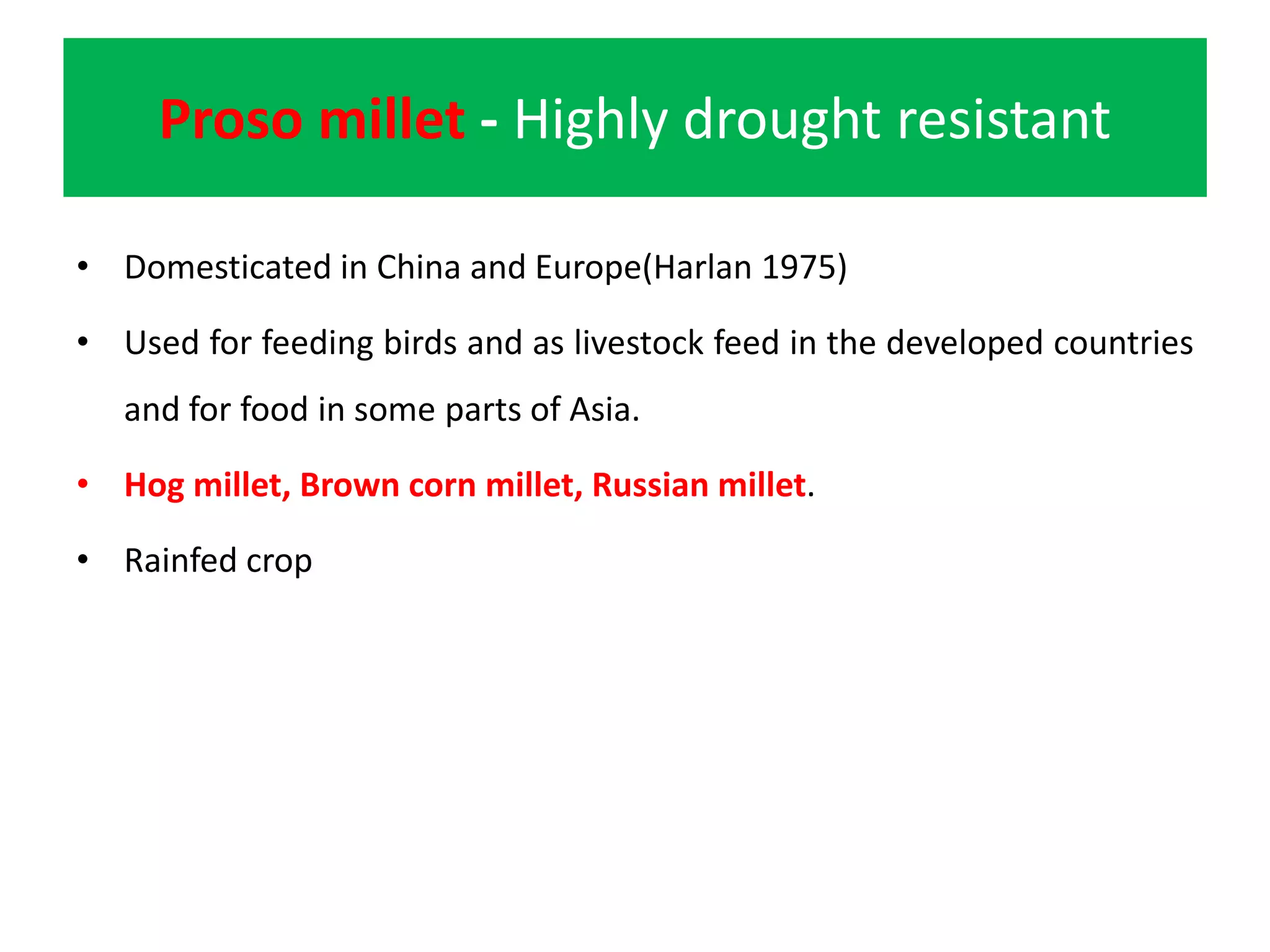 Proso millet - Highly drought resistant
• Domesticated in China and Europe(Harlan 1975)
• Used for feeding birds and as livestock feed in the developed countries
and for food in some parts of Asia.
• Hog millet, Brown corn millet, Russian millet.
• Rainfed crop
 