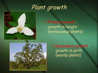 Plant growth Primary growth : growth in height (herbaceous plants) Secondary growth : growth in girth (woody plants) 