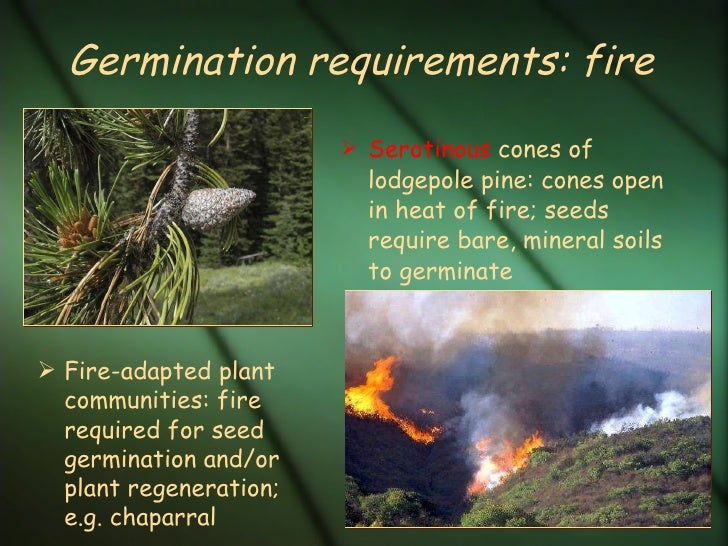 Botanypart22011 110111171204phpapp01