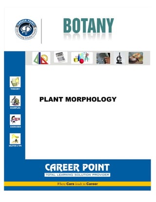 Corporate Office: CP Tower, IPIA, Road No.1, Kota (Raj.), Ph: 0744-3040000 (6 lines) PLANT MORPHOLOGY0
CAREER POINT
0
PLANT MORPHOLOGY
 