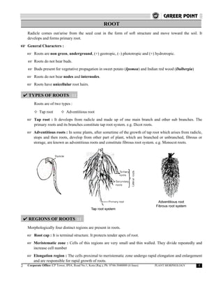 Botany plant morphology | PDF