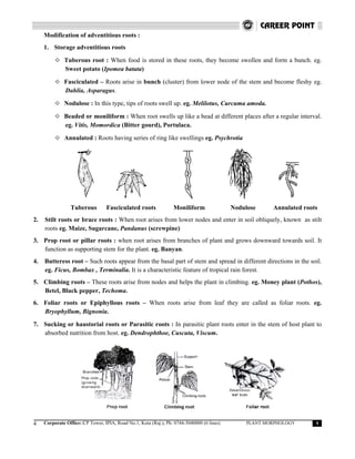Botany plant morphology | PDF