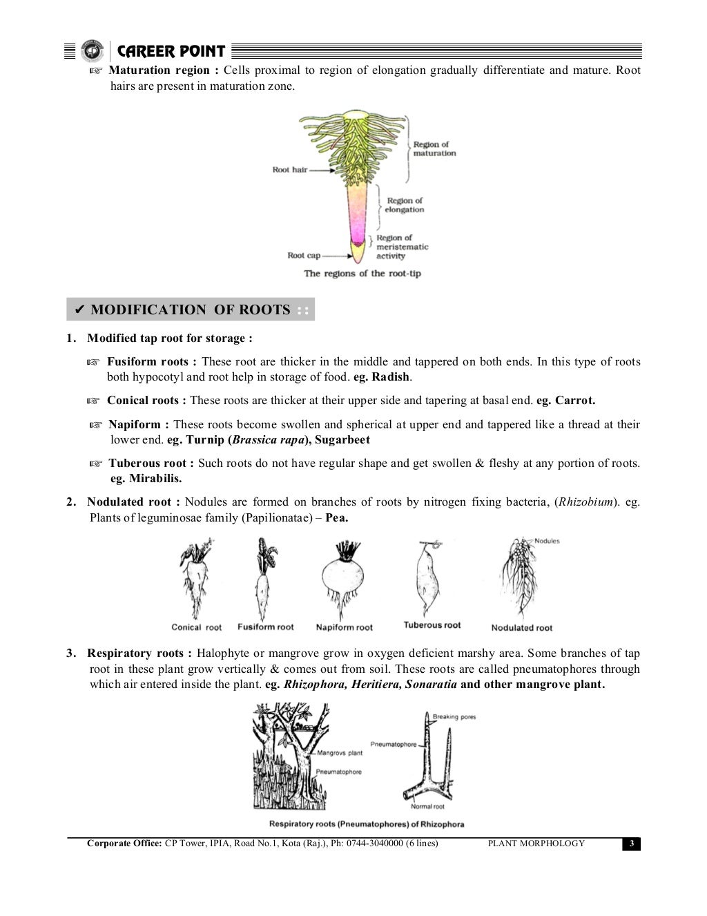 General plant morphology information