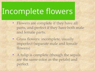 Botany: Plant reproduction power point pp | PPT