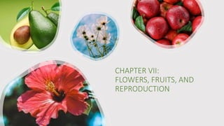 CHAPTER VII:
FLOWERS, FRUITS, AND
REPRODUCTION
 