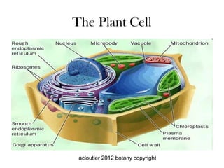 The Plant Cell




 acloutier 2012 botany copyright
 