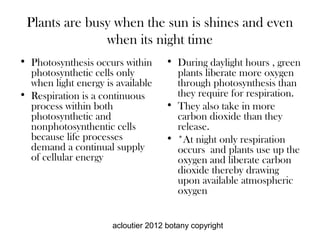 Plants are busy when the sun is shines and even
               when its night time
• Photosynthesis occurs within      • During daylight hours , green
  photosynthetic cells only           plants liberate more oxygen
  when light energy is available      through photosynthesis than
• Respiration is a continuous         they require for respiration.
  process within both               • They also take in more
  photosynthetic and                  carbon dioxide than they
  nonphotosynthentic cells            release.
  because life processes            • *At night only respiration
  demand a continual supply           occurs and plants use up the
  of cellular energy                  oxygen and liberate carbon
                                      dioxide thereby drawing
                                      upon available atmospheric
                                      oxygen


                      acloutier 2012 botany copyright
 