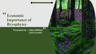 Economic
Importance of
Bryophytes
Presented by : Alina Iftikhar
(22011514-095)
 