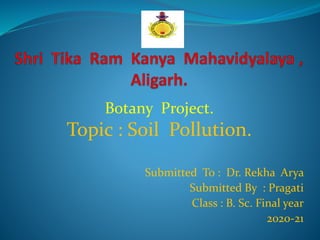 Submitted To : Dr. Rekha Arya
Submitted By : Pragati
Class : B. Sc. Final year
2020-21
Botany Project.
Topic : Soil Pollution.
 