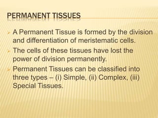 PERMANENT TISSUES
 A Permanent Tissue is formed by the division
and differentiation of meristematic cells.
 The cells of these tissues have lost the
power of division permanently.
 Permanent Tissues can be classified into
three types – (i) Simple, (ii) Complex, (iii)
Special Tissues.
 