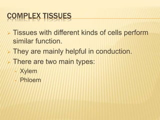 COMPLEX TISSUES
 Tissues with different kinds of cells perform
similar function.
 They are mainly helpful in conduction.
 There are two main types:
• Xylem
• Phloem
 