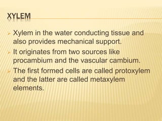 XYLEM
 Xylem in the water conducting tissue and
also provides mechanical support.
 It originates from two sources like
procambium and the vascular cambium.
 The first formed cells are called protoxylem
and the latter are called metaxylem
elements.
 