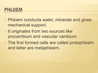 PHLOEM
 Phloem conducts water, minerals and gives
mechanical support.
 It originates from two sources like
procambium and vascular cambium.
 The first formed cells are called protophloem
and latter are metaphloem.
 