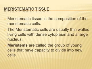 MERISTEMATIC TISSUE
 Meristematic tissue is the composition of the
meristematic cells.
 The Meristematic cells are usually thin walled
living cells with dense cytoplasm and a large
nucleus.
 Meristems are called the group of young
cells that have capacity to divide into new
cells.
 