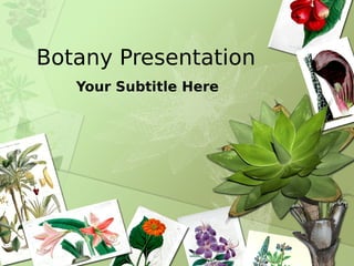 Botany Presentation
   Your Subtitle Here
 