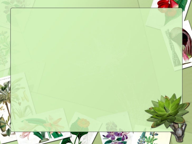 botany presentation botany powerpoint