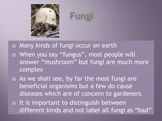 FungiMany kinds of fungi occur on earthWhen you say “fungus”, most people will answer “mushroom” but fungi are much more complexAs we shall see, by far the most fungi are beneficial organisms but a few do cause diseases which are of concern to gardenersIt is important to distinguish between different kinds and not label all fungi as “bad” 