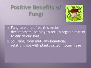 Positive Benefits of FungiFungi are one of earth’s major decomposers, helping to return organic matter to enrich our soilsSoil fungi form mutually beneficial relationships with plants called mycorrhizae
