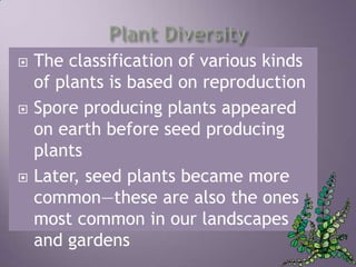Plant DiversityThe classification of various kinds of plants is based on reproduction  Spore producing plants appeared on earth before seed producing plantsLater, seed plants became more common—these are also the ones most common in our landscapes and gardens 