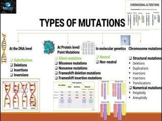 Project on mutation | PPTX