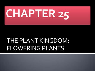 THE PLANT KINGDOM:
FLOWERING PLANTS

 