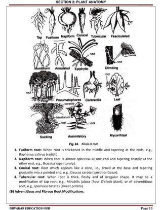 GATE Botany Book PDF [Sample PDF] | PDF