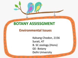 Kalsang Chodon, 2156
Surati, 47
B. SC zoology (Hons)
GE- Botany
Delhi University
BOTANY ASSISSGMENT
Environmental Issues
 