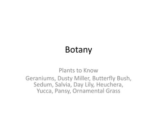 Botany Plants to Know Geraniums, Dusty Miller, Butterfly Bush, Sedum, Salvia, Day Lily, Heuchera, Yucca, Pansy, Ornamental Grass 