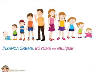 İNSANDA ÜREME, BÜYÜME ve GELİŞME
 