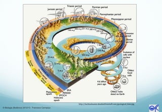 http://lachlanhunter.deadsetfreestuff.com/geological_time.jpg
© Biologia (Botânica) 2012/13 Francisco Carrapiço
 