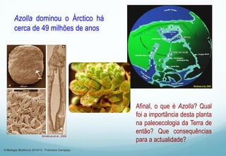 Azolla dominou o Árctico há
cerca de 49 milhões de anos
Afinal, o que é Azolla? Qual
foi a importância desta planta
na paleoecologia da Terra de
então? Que consequências
para a actualidade?
Brinkhuis et al., 2006
© Biologia (Botânica) 2012/13 Francisco Carrapiço
 