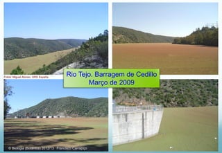 Rio Tejo. Barragem de Cedillo
Março de 2009
Fotos: Miguel Alonso, URS España
© Biologia (Botânica) 2012/13 Francisco Carrapiço
 