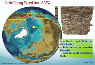 ACEX
Bujak, 2008
Norte do Alasca
Beaufort Canadiano
Mar de Chukchi
 8 a 20m do core do ACEX com
>90% Azolla
 Azolla ocorre em camadas
laminadas
 Indica que Azolla se depositou
in situ
Arctic Coring Expedition - ACEX
© Biologia (Botânica) 2012/13 Francisco Carrapiço
 