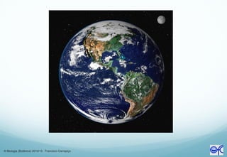 © Biologia (Botânica) 2012/13 Francisco Carrapiço
 