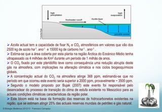  Azolla actual tem a capacidade de fixar N2 e CO2 atmosféricos em valores que vão dos
2500 kg de azoto ha-1. ano-1 e 15000 kg de carbono ha-1 . ano-1 .
 Estima-se que a área coberta por esta planta na região Árctica do Eocénico Médio tenha
ultrapassado os 4 milhões de Km2 durante um período de 1 milhão de anos.
 O CO2 fixado por este pteridófito teve como consequência uma redução abrupta deste
gás na atmosfera, com implicações na alteração climática e nos ciclos biogeoquímicos
globais.
 A concentração actual do CO2 na atmosfera atinge 368 ppm, estimando-se que no
período em que ocorreu este evento seria superior a 2000 ppm, provavelmente ~ 3500 ppm.
 Segundo o modelo proposto por Bujak (2007) este evento foi responsável pelo
desencadear do processo de transição do clima de estufa existente no Mesozóico para as
actuais condições climáticas características da região polar.
 Este bloom está na base da formação das reservas de hidrocarbonetos existentes na
região, que se estimam atingir 25% das actuais reservas mundais de petróleo e gás natural.
© Biologia (Botânica) 2012/13 Francisco Carrapiço
 