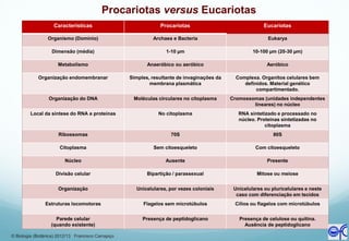 Procariotas versus Eucariotas
Características Procariotas Eucariotas
Organismo (Domínio) Archaea e Bacteria Eukarya
Dimensão (média) 1-10 µm 10-100 µm (20-30 µm)
Metabolismo Anaeróbico ou aeróbico Aeróbico
Organização endomembranar Simples, resultante de invaginações da
membrana plasmática
Complexa. Organitos celulares bem
definidos. Material genético
compartimentado.
Organização do DNA Moléculas circulares no citoplasma Cromossomas (unidades independentes
lineares) no núcleo
Local da síntese do RNA e proteínas No citoplasma RNA sintetizado e processado no
núcleo. Proteínas sintetizadas no
citoplasma
Ribossomas 70S 80S
Citoplasma Sem citoesqueleto Com citoesqueleto
Núcleo Ausente Presente
Divisão celular Bipartição / parassexual Mitose ou meiose
Organização Unicelulares, por vezes coloniais Unicelulares ou pluricelulares e neste
caso com diferenciação em tecidos
Estruturas locomotoras Flagelos sem microtúbulos Cílios ou flagelos com microtúbulos
Parede celular
(quando existente)
Presença de peptidoglicano Presença de celulose ou quitina.
Ausência de peptidoglicano
© Biologia (Botânica) 2012/13 Francisco Carrapiço
 