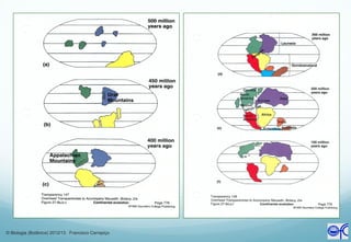 © Biologia (Botânica) 2012/13 Francisco Carrapiço
 