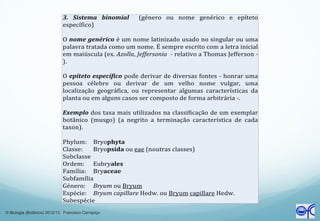 © Biologia (Botânica) 2012/13 Francisco Carrapiço
 