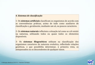 © Biologia (Botânica) 2012/13 Francisco Carrapiço
 
