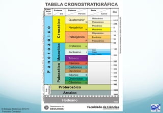 © Biologia (Botânica) 2012/13
Francisco Carrapiço
 