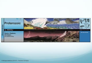 © Biologia (Botânica) 2012/13 Francisco Carrapiço
 